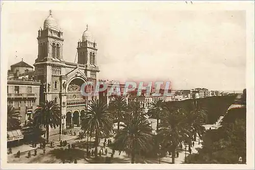 Cartes postales moderne Maroc