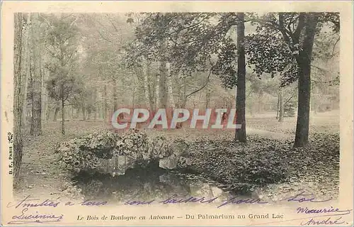 Ansichtskarte AK Le Bois de Boulogne en Automne du palmarium au grand Lac