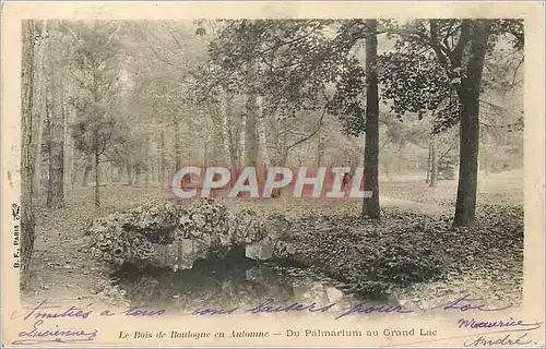 Cartes postales Le Bois de Boulogne en Automne du palmarium au grand Lac