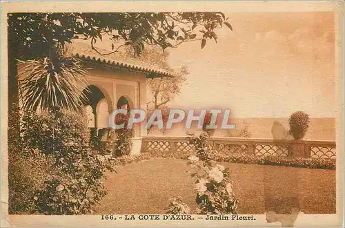 Cartes postales La cote d' azur jardin Fleuri