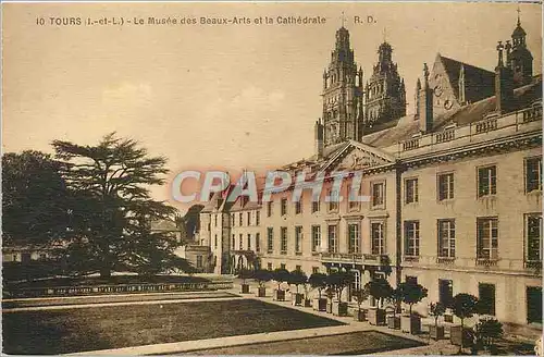 Cartes postales Tours I et L le musee des beaux Arts et la cathedrale