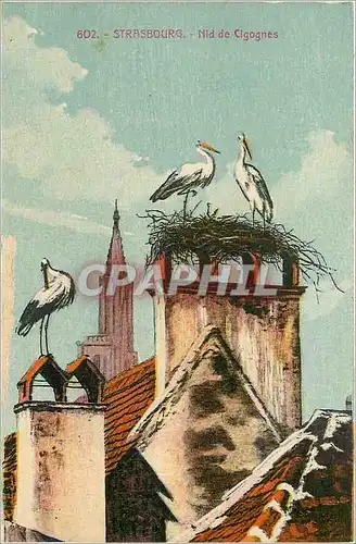 Cartes postales Strasbourg Nid de Cigognes