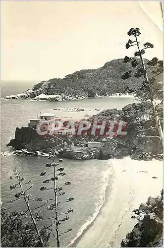 Cartes postales moderne Costa brava bague