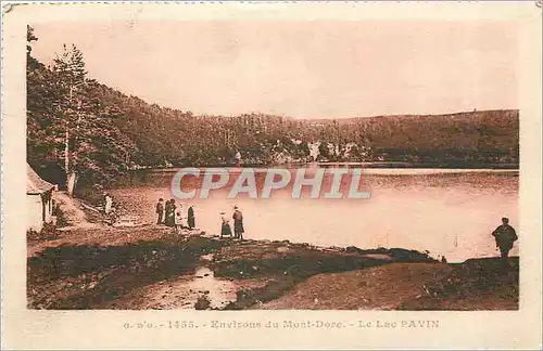 Cartes postales Emvirons du Mont dore le lac Pavin