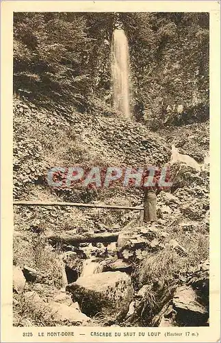 Cartes postales Le Mont Dore Cascade du Sut du loup