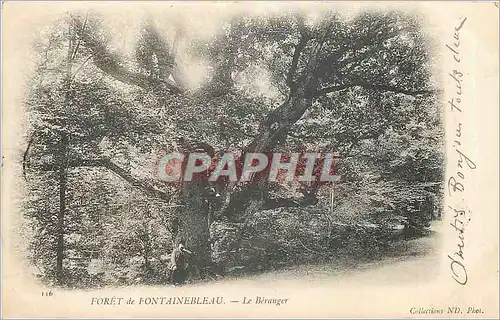 Ansichtskarte AK Foret de Fontainebleau Le Beranger