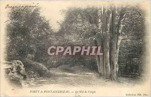 Cartes postales Foret de Fontainebleau Le Nid de l'Aigle