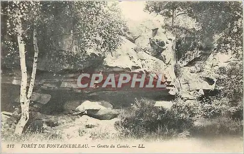 Ansichtskarte AK Foret de Fontainebleau Grotte du Camee