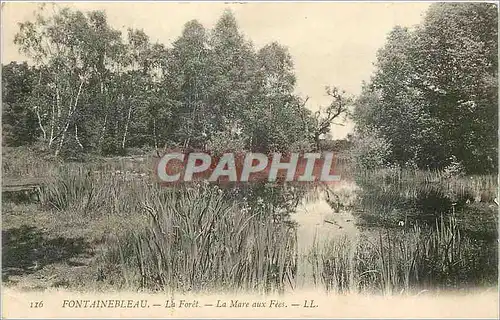 Cartes postales Fontainebleau La Foret La Mare aux Fees