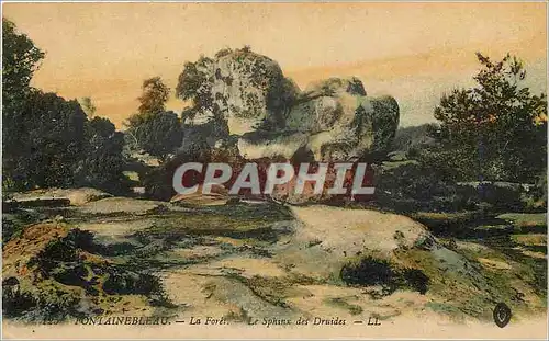 Cartes postales Fontainebleau La Foret Le Sphinx des Druides