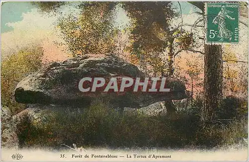 Ansichtskarte AK Foret de Fontainebleau La Tortue d'Apremont