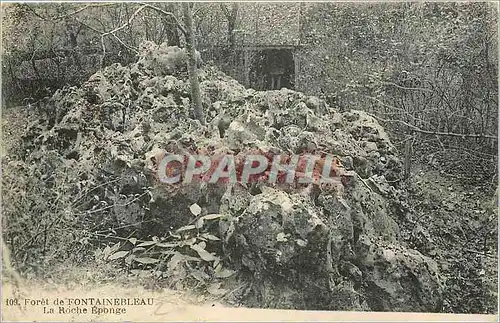 Cartes postales Foret de Fontainebleau La Roche Eponge