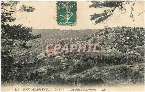 Ansichtskarte AK Fontainebleau La Foret Les Gorges d'Apremont