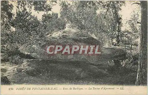Ansichtskarte AK Foret de Fontainebleau Env de Barbizon La Tortue d'Apremont