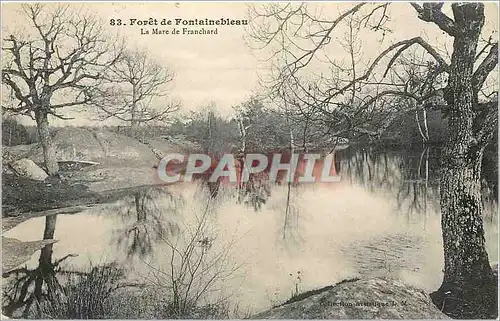 Cartes postales Foret de Fontainebleau La Mare de Franchard