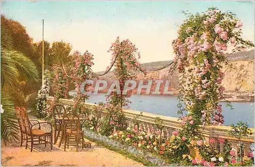 Ansichtskarte AK Flore Artistique Terrasse Bord de Mer Cote d'Azur