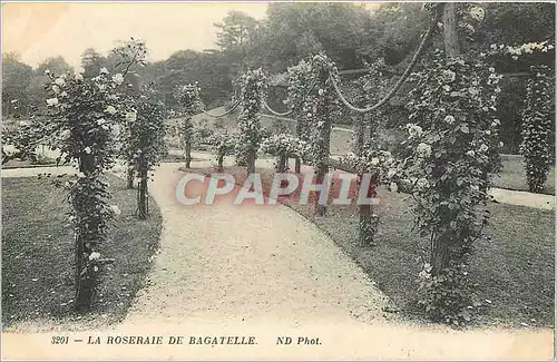 Cartes postales La Roseraie de Bagatelle