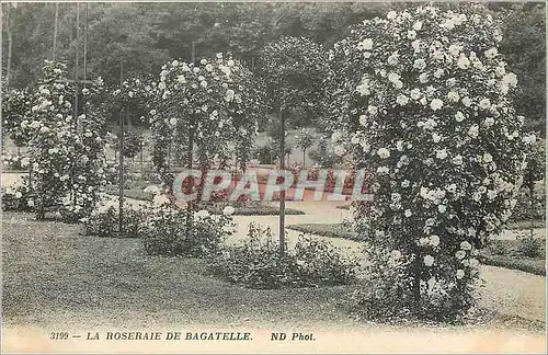 Cartes postales La Roseraie de Bagatelle