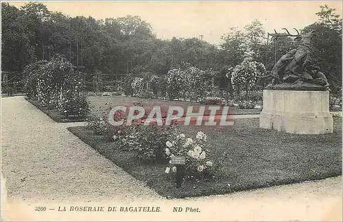 Cartes postales La Roseraie de Bagatelle