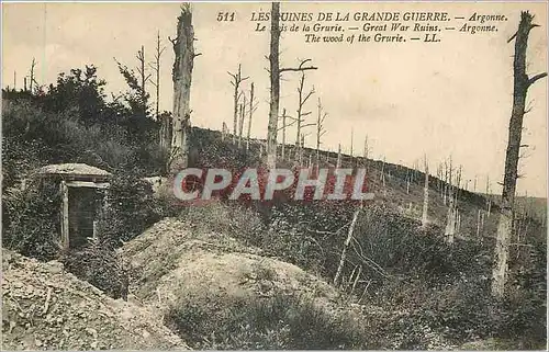 Cartes postales Les Ruines de la Grande Guerre Argonne