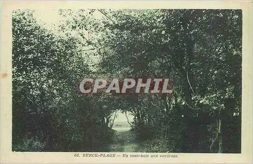 Cartes postales Berck Plage Un sous bois aux environs