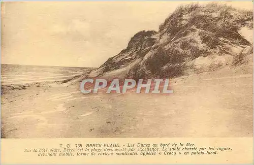 Cartes postales Berck Plage Les Dunes au bord de la Mer