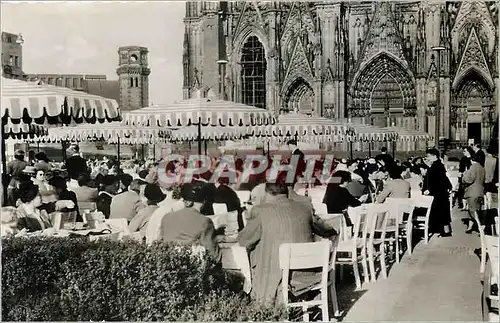 Cartes postales moderne Koln am Rhein Reichard Terrasse am Dom