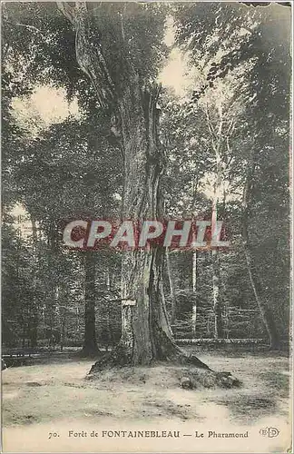 Cartes postales Foret de Fontainebleau Le Pharamond