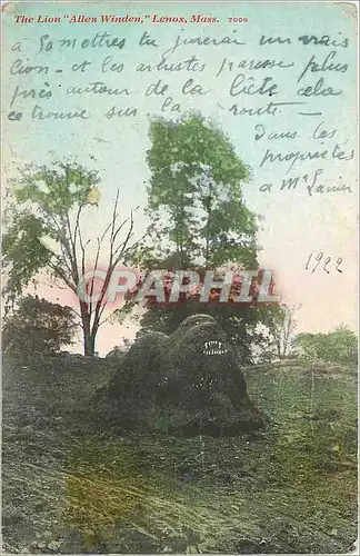 Cartes postales The Lion Allen Winden Lenox Mass