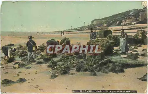 Cartes postales Le Havre Cap de la Heve pecheurs de crevettes