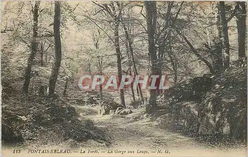 Ansichtskarte AK Fontainebleau La Foret La Gorge aux Loups