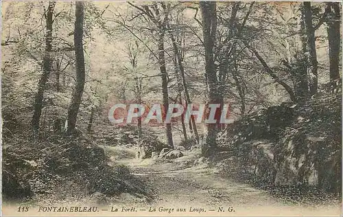 Cartes postales Fontainebleau La Foret La Gorge aux Loups