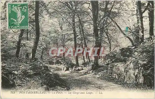 Cartes postales Fontainebleau La Foret La Gorge aux Loups