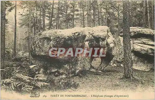 Ansichtskarte AK Foret de Fontainebleau L'Elephant