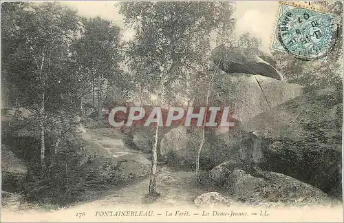 Cartes postales Fontainebleau La Foret La Dame Jeanne