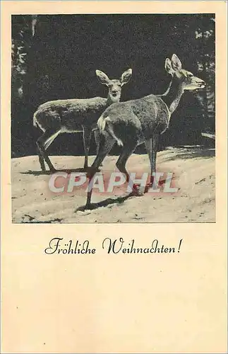 Cartes postales Frohliche Weihnachten Biches
