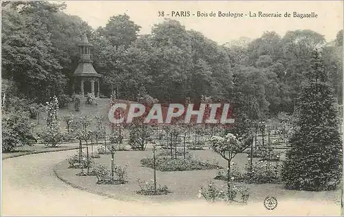Ansichtskarte AK Paris Bois de Boulogne La Roseraie de Bagatelle