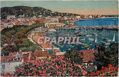 Cartes postales Cannes Vue d'ensemble