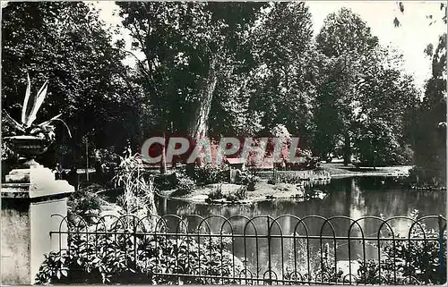 Cartes postales moderne Vichy Allier Un coin des nouveaux parcs