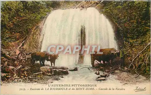 Cartes postales Environs de La Bourboule et du Mont Dore Cascade de la Verniere B�ufs