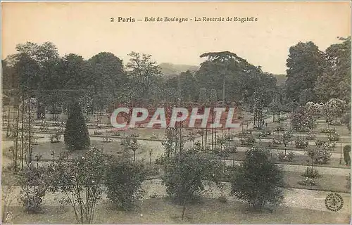 Cartes postales Paris Bois de Boulogne La Roseraie de Bagatelle