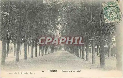 Ansichtskarte AK Joigny Promenade du Mail