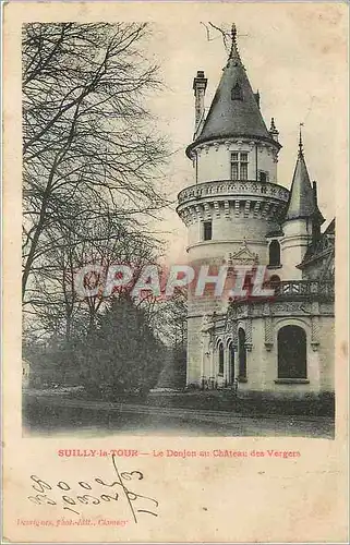 Cartes postales Suilly la Tour Le Donjon au Chateau des Vergers