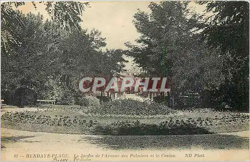 Cartes postales Hendaye Plage Le Jardin de l'Avenue des Palmiers et le Casino