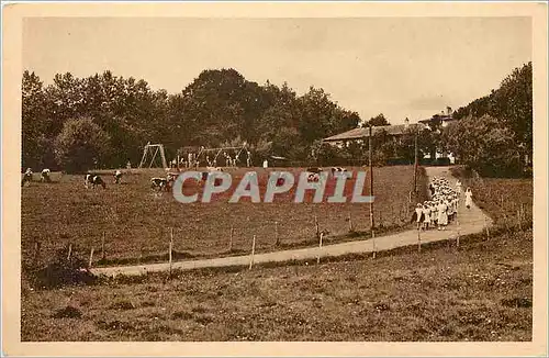 Cartes postales Preventorium d'Arbonne Basses Pyr Ferme et paturages Promenade dans le domaine Vaches