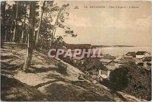 Cartes postales Arcachon Cote d'Argent L'Herbe