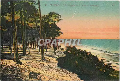 Cartes postales Arcachon Cote d'Argent La Cote