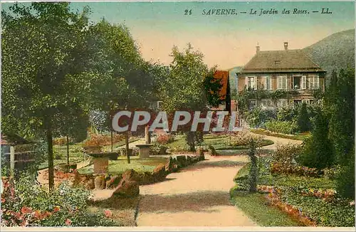 Cartes postales Saverne Le Jardin des Roses