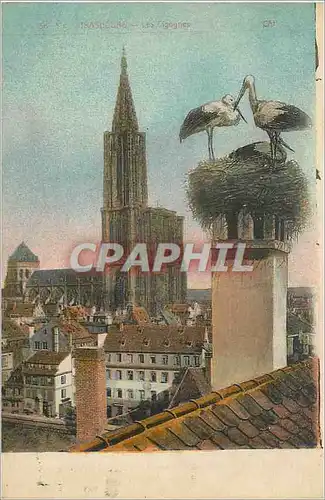 Cartes postales Strasbourg Les Cigognes