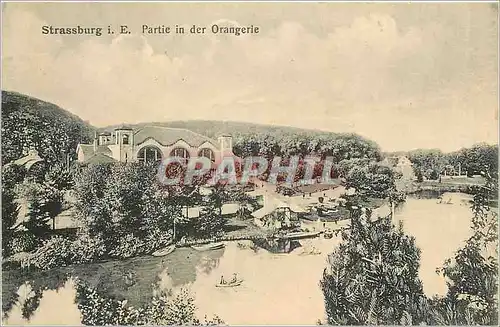 Cartes postales Strassburg Partie in der Orangerie